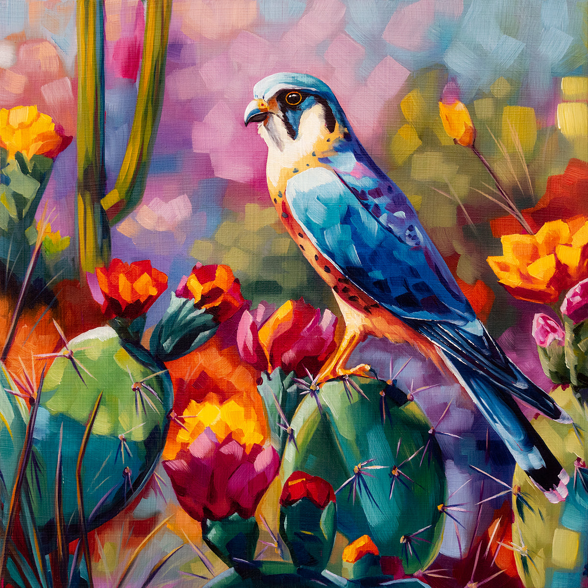 Desert Falcon