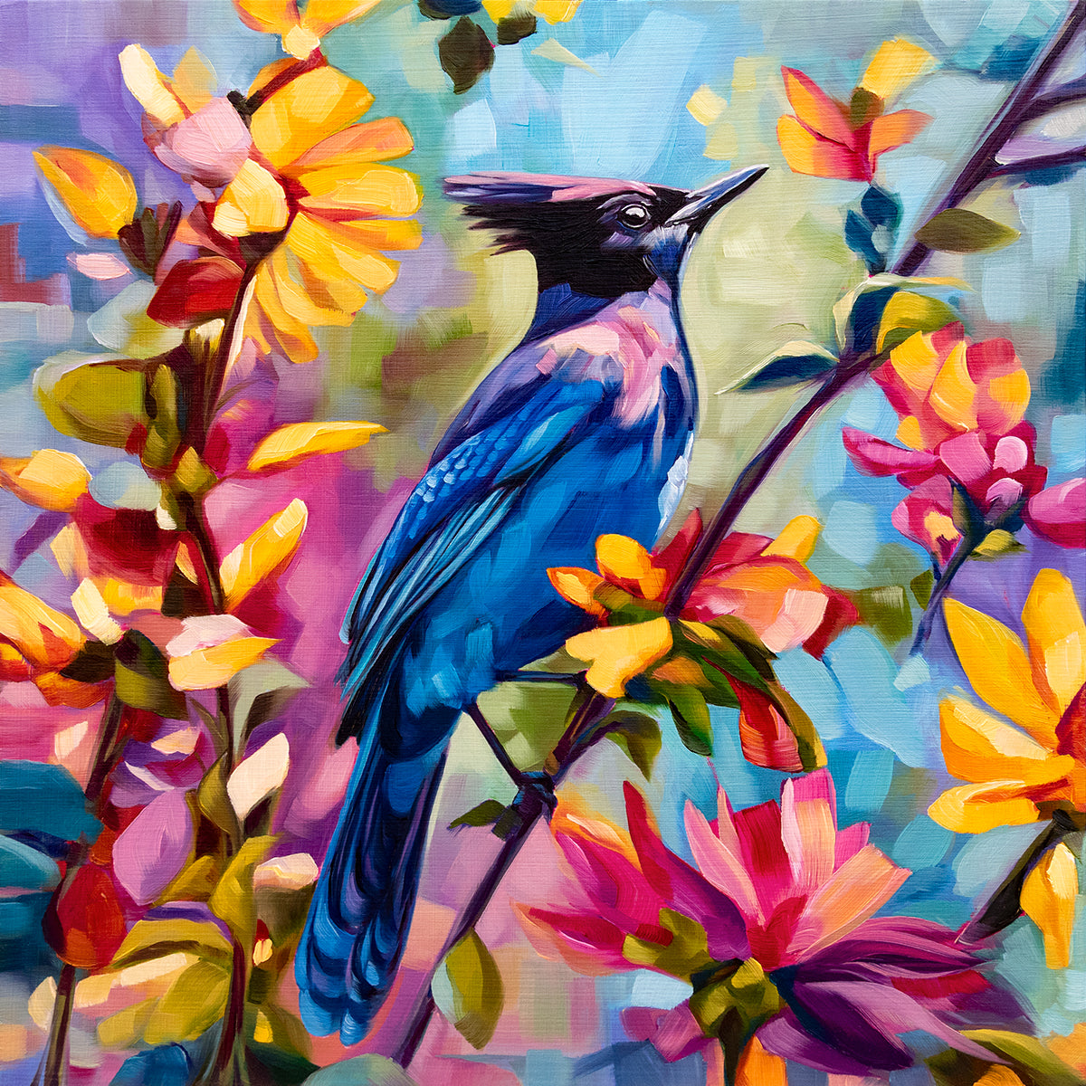 Steller's Jay Original Painting