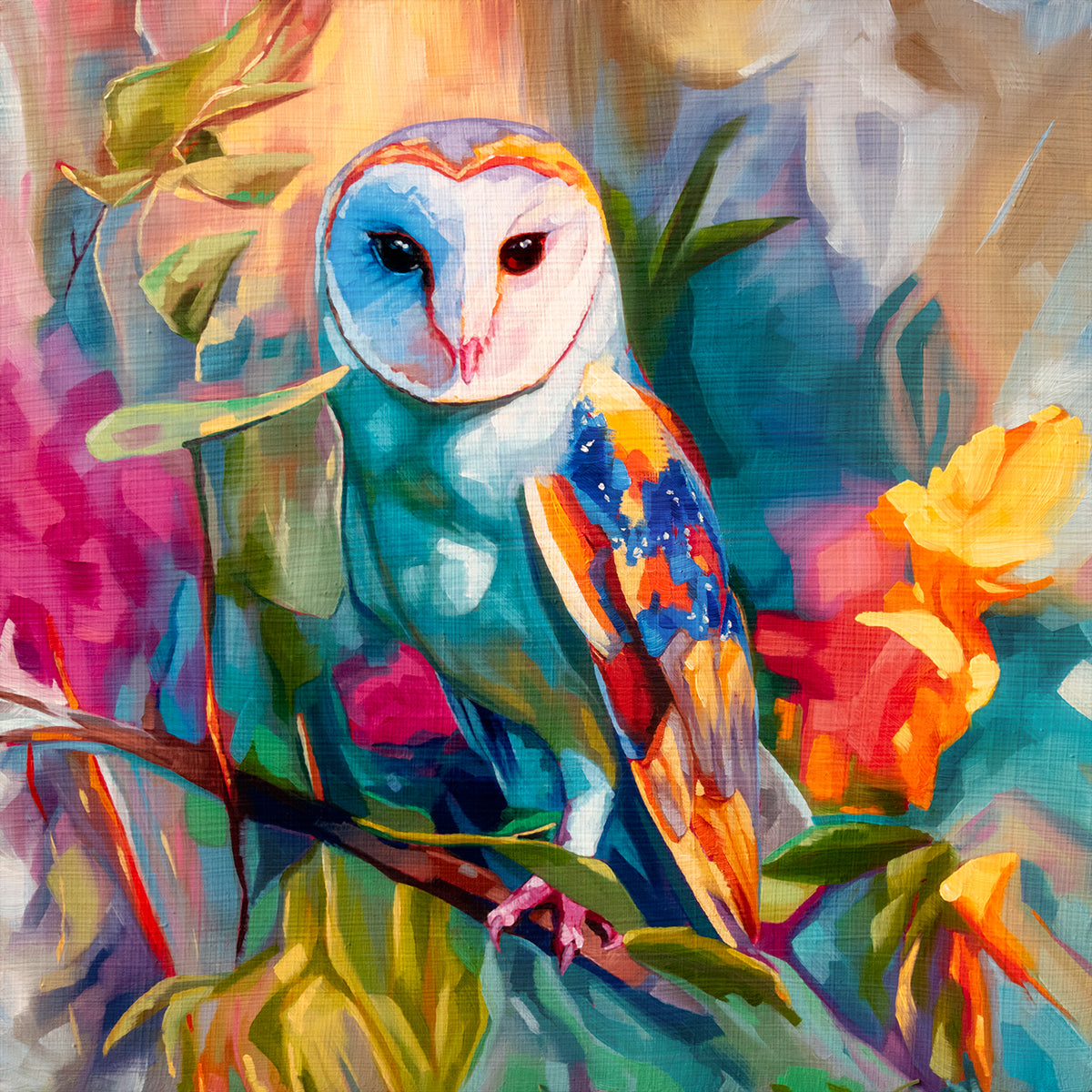Barn Owl