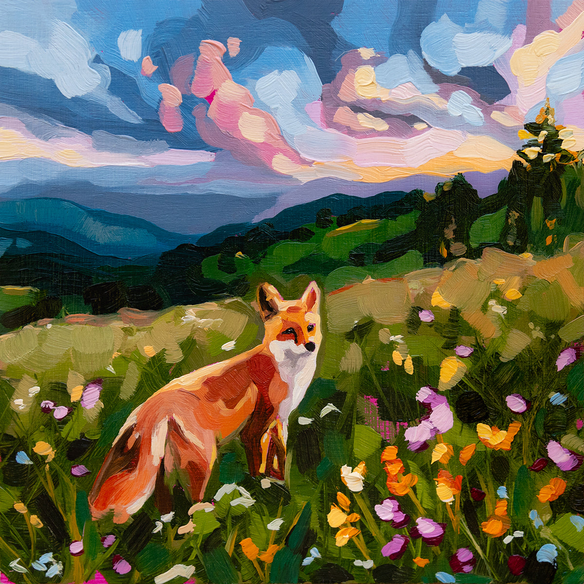 Fox Mini